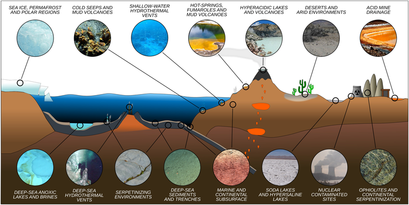 Cross-section diagram of Earth showing the diversity of extreme environments, including deep-sea hydrothermal vents, brine pools, and cold seeps.