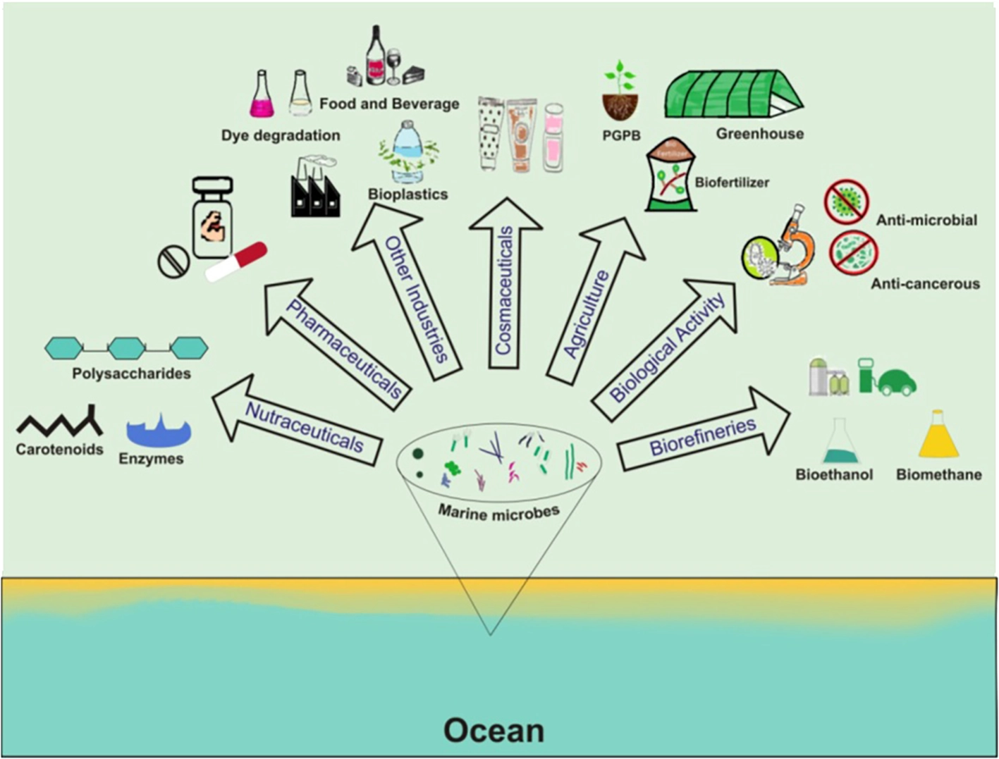 Diagram showing applications of marine microbes across pharmaceuticals, nutraceuticals, cosmeceuticals, agriculture, biorefineries, and other industries.
